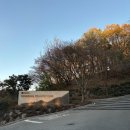 서서울 | 경기 서서울CC 골프장 야간 새벽 라운딩 후기