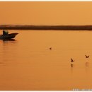 떠나가는 배 이미지