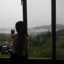 산위에 사과