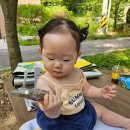 서울우유장흥보급 | 서울 근교 계곡 추천, 송추계곡 vs 장흥계곡 직접 다녀온 후기 정리 (주차 화장실 수심 등)