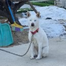 청계풋살장 | [실외운동추천] 넓은 주차장 있는 의왕청계풋살파크! (과천풋살.안양풋살.인덕원풋살)