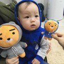 둘째 임신 9개월 증상 (35주 2일)