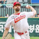 베니 카카오 검색결과