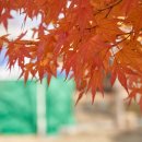 예산황새공원 주차장 이미지