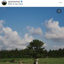 빈티지-826 | 제주스냅 추천 그리미스냅 X 헤메드 토탈샵 라르아 계약후기 선택한 이유