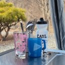 옥화리 | 🌳충북 캠핑ㅣ우니메이카 청주점 A7 파쇄석 사이트 후기