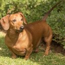 살랑살랑 이미지