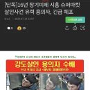 16년 장기미제 시흥 슈퍼마켓 살인사건 용의자, 긴급 체포 이미지