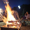 청주시 미래지농촌테마공원 오토캠핑장 | [061] 오창 - 미래지 농촌 테마공원 오토 캠핑장