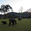 개군레포츠공원 이미지