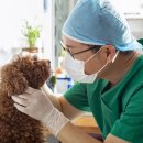 담은동물병원 이미지