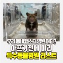 아프지말게 동물병원 | 햄스터 진료 가능한 특수동물병원 미리 알아두기 : 진료비 현실과 건강검진 가이드
