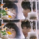 양지(Sunny Place) | 양지의 그녀 (Girl In The Sunny Place, 2013)