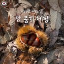 연화농장 | 밤 따기 체험 서울 근교 &#39;연화농원&#39; 체험 방법 주차 정보
