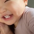 샷베베 이미지