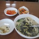모녀손칼국수 Daum카페
