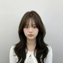브이엘