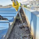 공장 홈통 낙엽 제거 공장 지붕 물 빠짐 문제 배수로 유지관리 업체 공장 배수 청소 전문업체 지붕 배수 시설 점검 공장 빗물 배수로 정 이미지