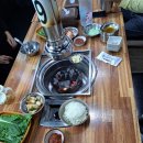 은행나무 갈매기 이미지