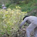 늘봄농장 이미지