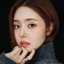 프리지아 이미지