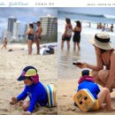파라다이스 Daum카페