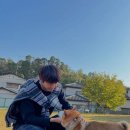 광희동물병원 이미지