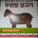 더진국 한양대점 | 안산훠궈 찾으세요? 대홍훠궈샤브샤브 한양대점 어떠세요?