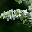 그늘과 빛의 기억 이미지