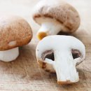 건강두피모발관리 이미지