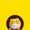 카톡 이미지
