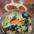 총각손칼국수 이미지