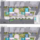 마에스트로 이미지