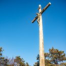 등산로(상) | [기자단] 천천히 걷기 좋은 겨울 산책 여행 음성 매산 등산로