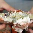 김해대게 이미지