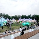 2025 올리브영페스타 오후권 _본품으로만 50만원치 겟 성공!