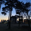 큰집닭한마리 이미지