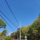 아이들과 가기 좋은 화명수목원 방문 후기 (데이트 추천)