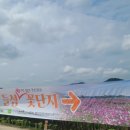 꽃단지 화장실 이미지