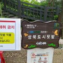 성북28 이미지