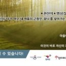 강남해안로 이미지