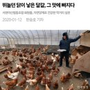 윤정부농장 네이버블로그