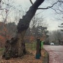 지장사왕도 이미지