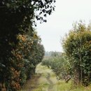 전의사회적협동조합 이미지