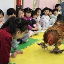 성균관어린이집 이미지