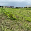 오공농장 이미지