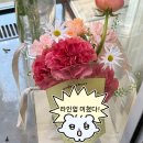 메이앤달링플라워