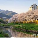 서울삼성부동산공인중개사사무소 이미지