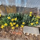 도토리농장 이미지