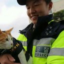 부산강서경찰서 이미지